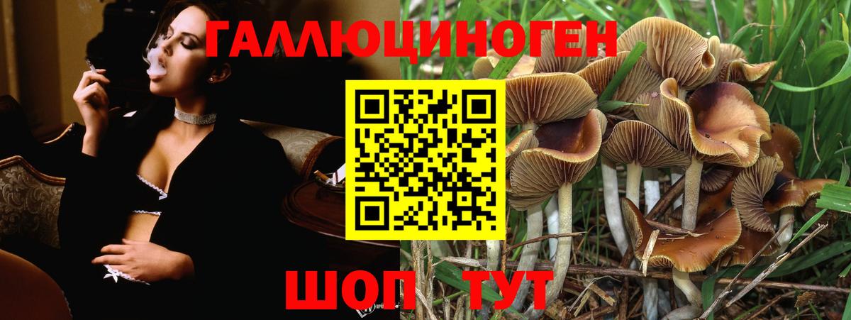 Канабис Гулькевичи